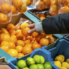 Nieoczekiwana jakość pomarańczy w popularnych dyskontach