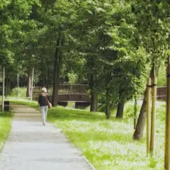 Miejsca warte odwiedzenia w Zielonej Górze. 7 propozycji