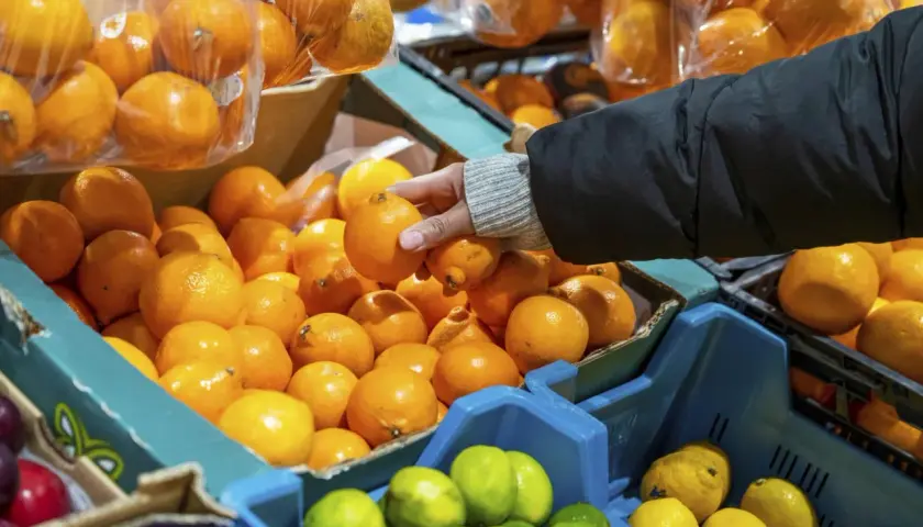 Nieoczekiwana jakość pomarańczy w popularnych dyskontach