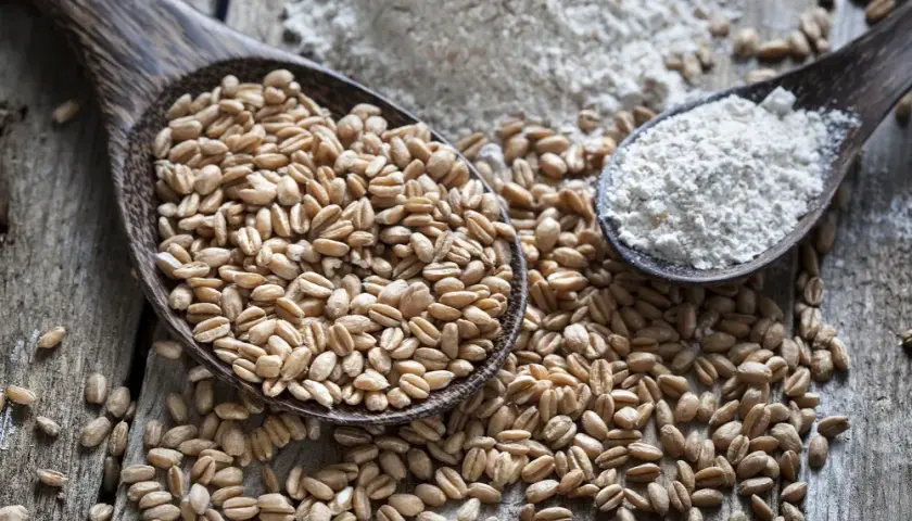 Z czego powstaje mąka orkiszowa: sekrety procesu produkcji krok po kroku