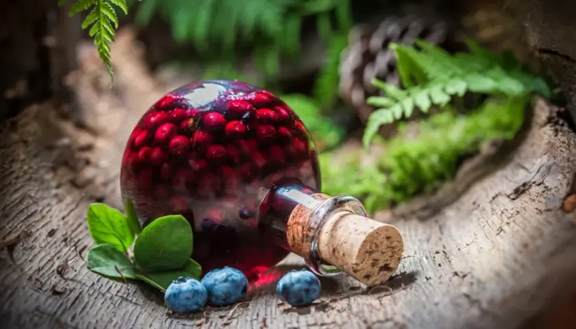 Nalewka z borówek amerykańskich - przepis na aromatyczną nalewkę z owoców borówki