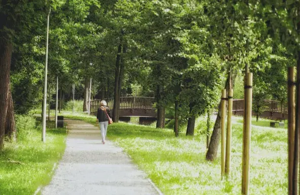 Miejsca warte odwiedzenia w Zielonej Górze. 7 propozycji