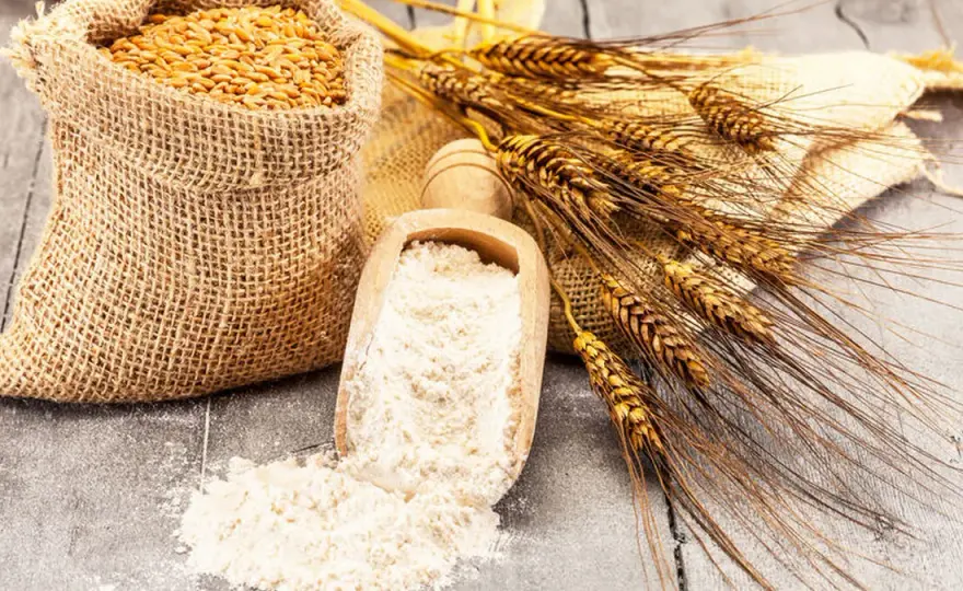 Czy mąka żytnia ma gluten? Zaskakujące fakty na temat jej bezpieczeństwa.