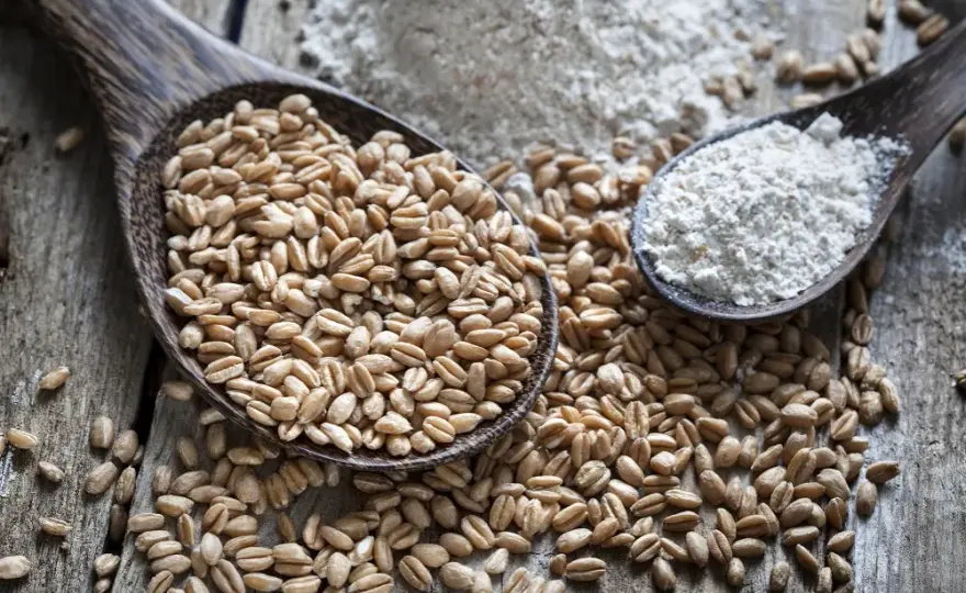 Z czego powstaje mąka orkiszowa: sekrety procesu produkcji krok po kroku