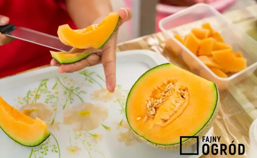 Żółty melon: Jak wybrać idealny i zaskoczyć smakiem? Przepisy!